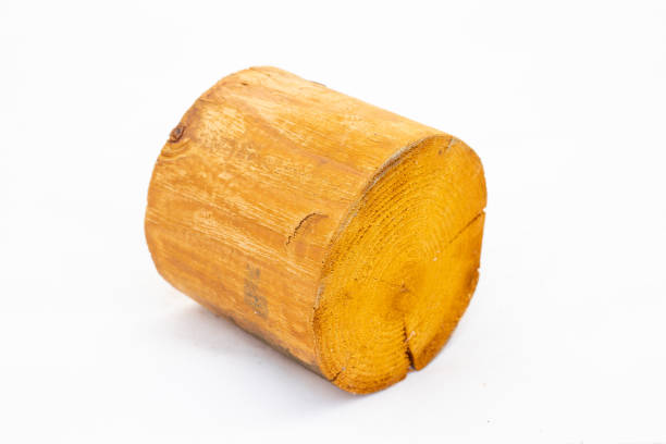 istock Stump of a tree isolated on white background 2124404782