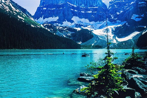 Moraine lake in the canadian rockies