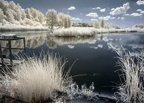 sunny summer landscape, infrared photo snowy tree amazing nature lake reflection, unusual surreal view, infrared photography