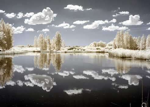 sunny summer landscape, infrared photo snowy tree amazing nature lake reflection, unusual surreal view, infrared photography