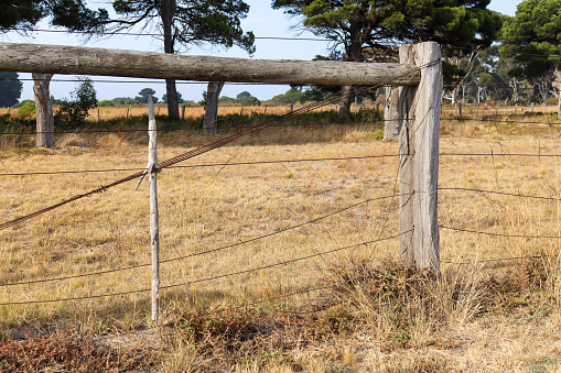 old farm fence in dry australian field
