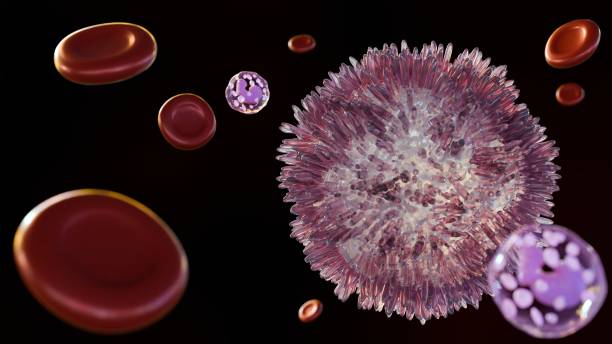 istock Hairy cell leukemia (HCL) or known as  leukemic reticuloendotheliosis 2124560315