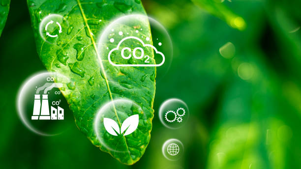 istock Reduce CO2 emission concept in the hand for environmental, global warming, Sustainable development and green business based on renewable energy.CO2 icon on green leaf with water droplet. 2124574685