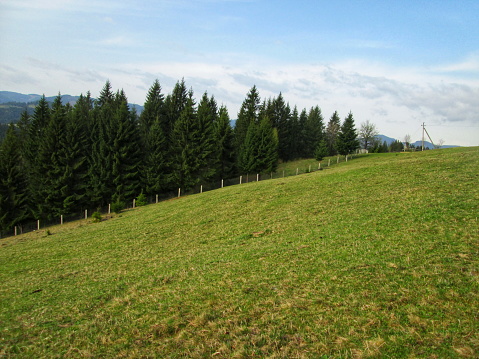 Lush green hay fields in the mountainous countryside