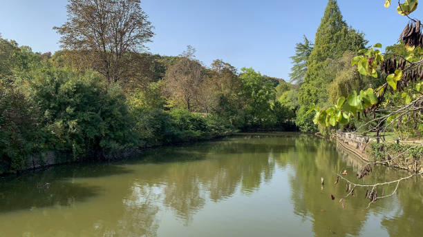 istock lake from istanbulforest landscapes 2124601064