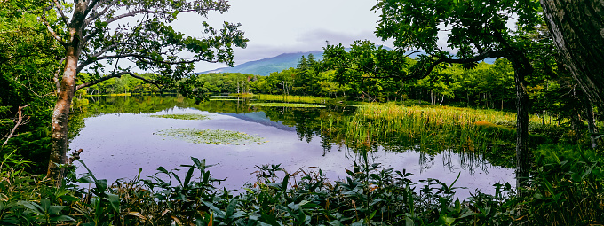 A panoramic view in late summer over the Yonko lake of Shiretoko Goko Lakes in Shiretoko National Park, a UNESCO World Natural Heritage site in Hokkaido of Japan.