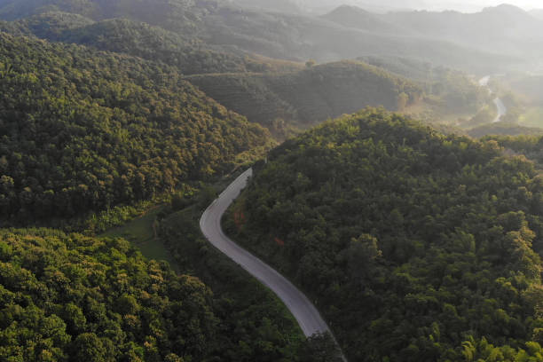 istock asphalt road and forest aerial view 2124746667