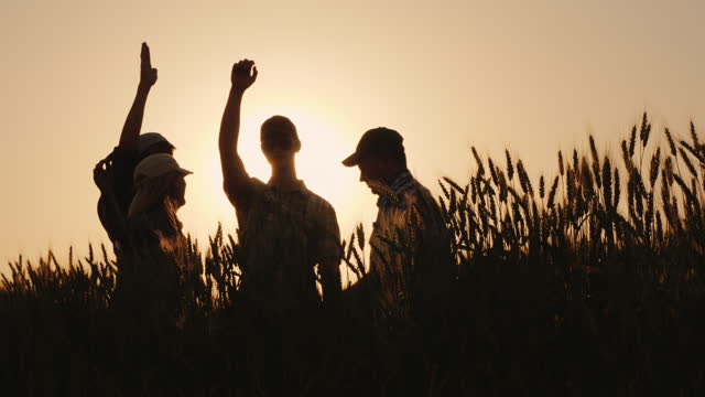 The silhouettes of farmers, happily raise their hands up, celebrating success