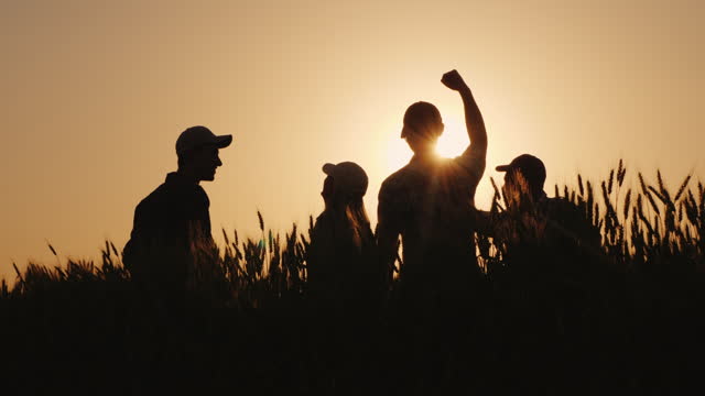Four farmers holding hands lift them up on a field of wheat. A successful team of farmers