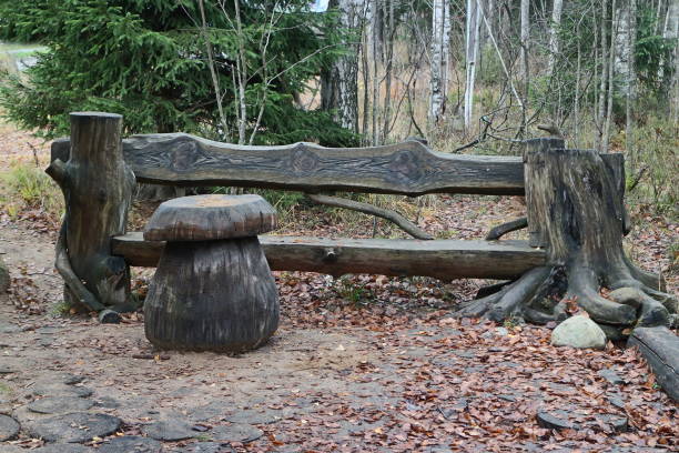 istock bench and table mushroom for relaxing and picnic in nature 2124798980