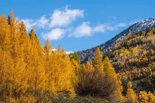 Scenery at Red Mountain Pass in Autumn, Colorado, USA