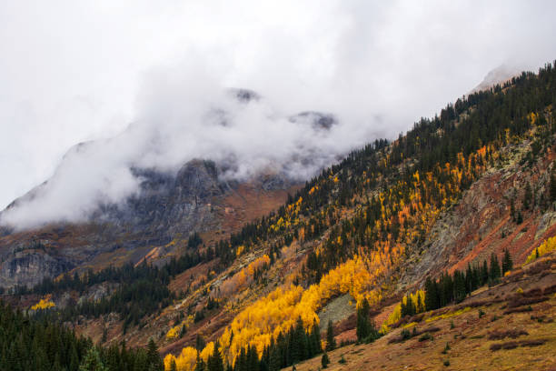 Scenery at Red Mountain Pass in Autumn, Colorado, USA
