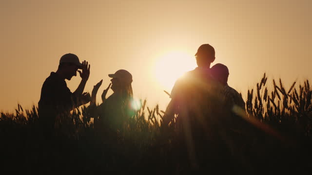 Celebrate success in agribusiness, silhouettes of a group of farmers on the field