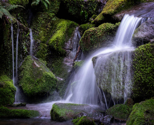 istock Wonderful waterfall surrounded by nature within the Cilento national park (Salerno) 2124925319