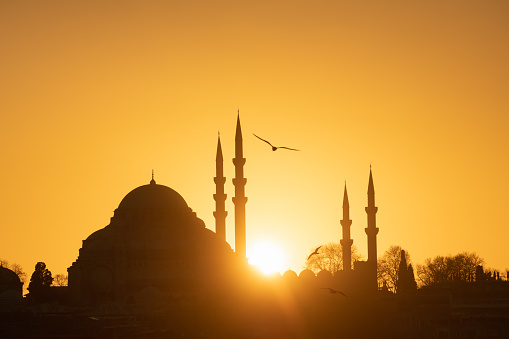 Istanbul, Turkey. Suleymaniye Mosque against the sunset sky. Seagulls soaring in the sky. Famous travel destination.