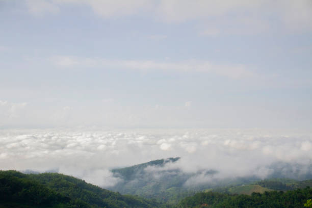 Refreshing sea of mist in the morning Chiang Mai Province, Thailand