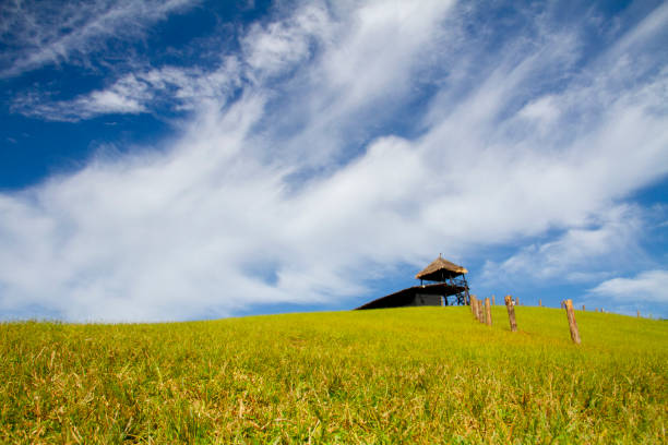 Beautiful green meadow blue sky and white clouds background