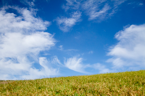 Beautiful green meadow blue sky and white clouds background