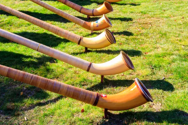 Alphorns laying on the grass on the alpine meadow