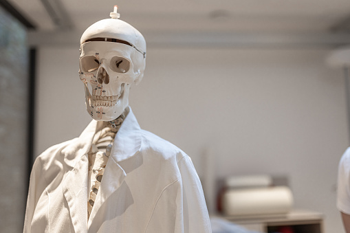 Funny, fun. A model of the human skeleton in the background during orthopedic rehabilitation of a disabled person.