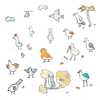 A various type of birds illustrated by hand on a paper and scanned.