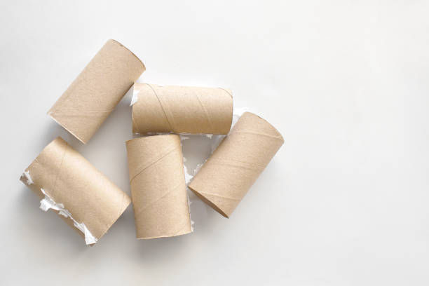 istock Tissue paper cores on the table. 2125110113