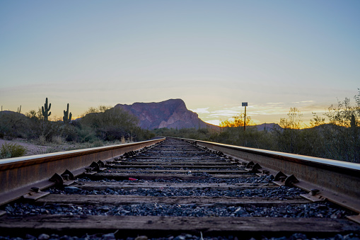 Railroad tracks, shotgun shells, saguaro cacti and a tranquil southwestern setting.