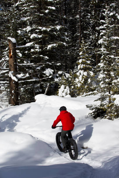 istock Winter Fatbike Ride 2125132499