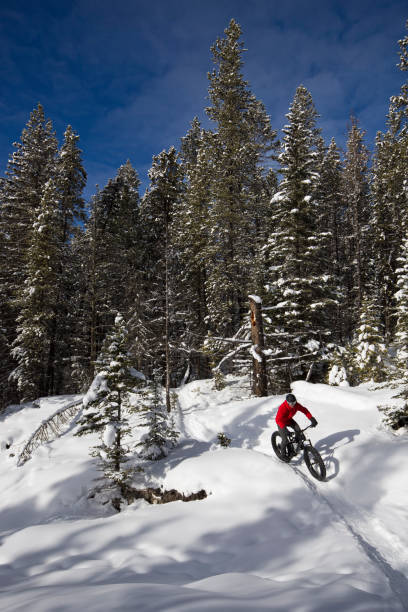 istock Winter Fat Bike Ride 2125133106