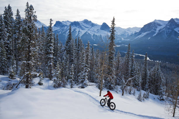 istock Winter Fat Bike Ride 2125137416