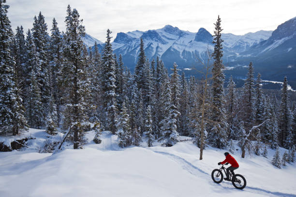 istock Rocky Mountain Winter Fatbike Ride 2125140692