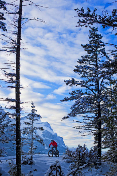 A man goes for a winter fatbike ride in the  Rocky Mountains of Canada. Fatbikes are mountain bikes with oversized wheels and tires for riding on the snow. Mt Rundle is visible in the background.