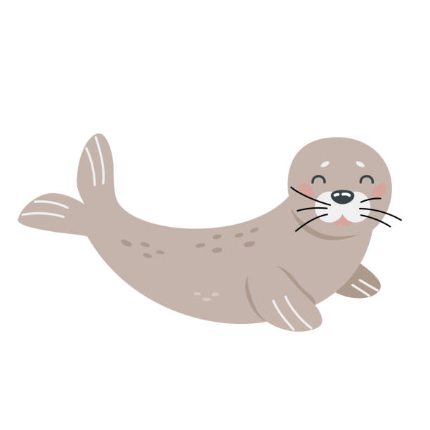 Cartoon hand drawn seal on isolated white background. Character of the polar arctic sea animals for the logo, print, design. Cartoon hand drawn seal on isolated white background. Character of the polar arctic sea animals for the logo, print, design. Vector illustration houses in antarctica stock illustrations
