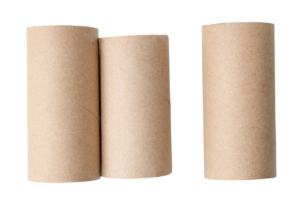 istock Front view set of tissue paper cores isolated on white background with clipping path 2125144347