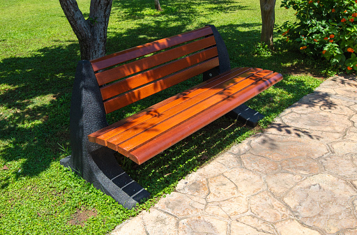 Wooden bench in the park in nature.