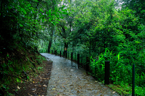 Within the Cascada Velo de Novia Park in the community of Avandaro, there are trails to take tourists through the dense vegetation towards the waterfall at the end of the road.
