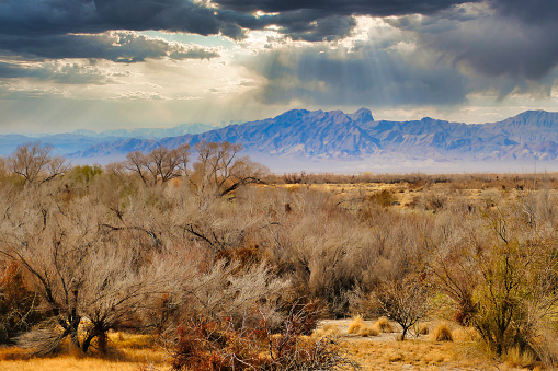 Ash Meadows National Wildlife Refuge, in Amargosa Valley, adjacent to Death Valley, Mojave Desert, Nevada, under a menacing sky with storm clouds and sun rays.