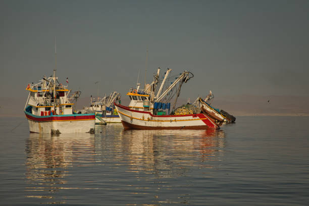 łódź rybacka w porannym nastroju. na półwyspie paracas, wyspy ballestas - ice fishing zdjęcia i obrazy z banku zdjęć