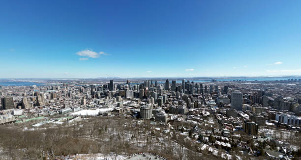 aerial drone of montreal, quebec canada downtown cityscape reveal view from above the trees of mont-royal - montreal winter city quebec стоковые фото и изображения