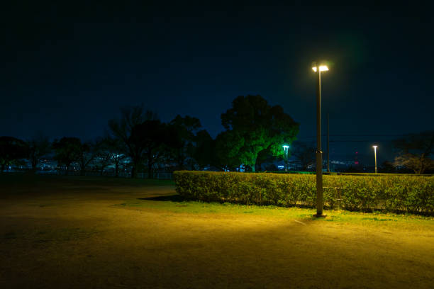 街灯のある深夜の公園