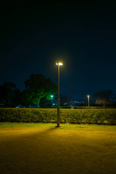 istock Late night park with street lights 2125262745