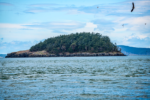 A veiw of a small island near Deception Pass in Washington State.