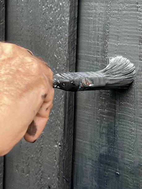 istock Painting the gate 2125313011