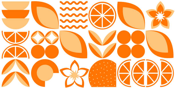 bildbanksillustrationer, clip art samt tecknat material och ikoner med abstract geometric vector pattern in scandinavian style. agriculture symbol. harvest of garden. background illustration graphic design. - apelsinlund