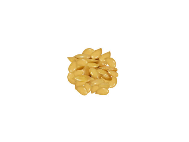 istock Flax or Linum usitatissimum 2125368736