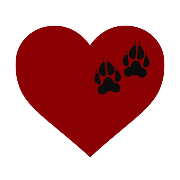 Vector illustration of Silhouette of black wolf paws and dark red heart.