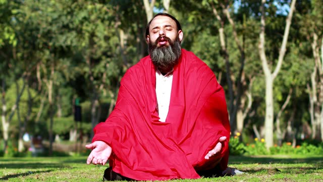 Beard Indian sadhu/ Yogi chant mantra outdoor in nature.