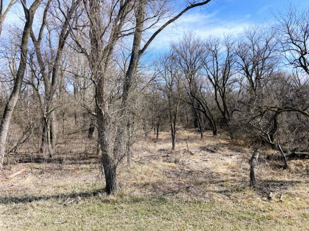 istock DeSoto National Wildlife Refuge 2125404888