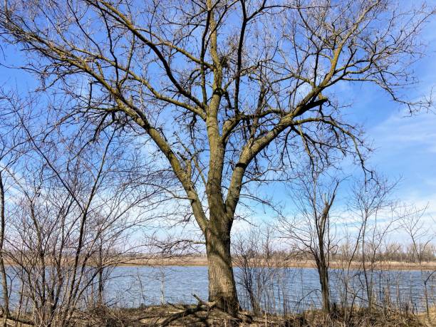 istock DeSoto National Wildlife Refuge 2125406419