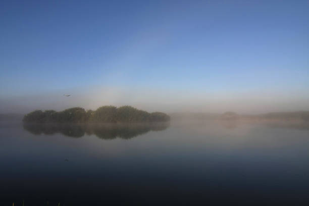 Fogbow forming over Paurotis Pond in Everglades National Park, Florida.